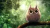Cute Owl Isolated Wallpaper