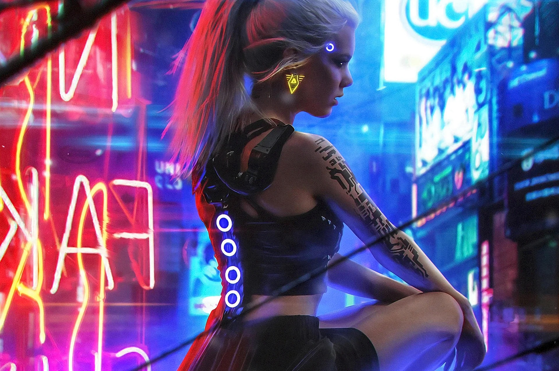 Cyberpunk 2077 Panam Wallpaper