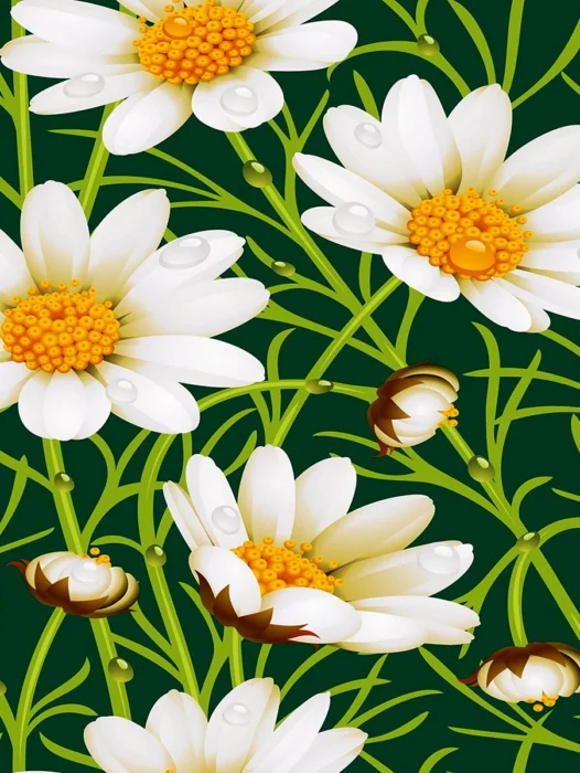 Daisy Flower Pattern Wallpaper