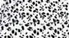 Dalmatian Pattern Wallpaper