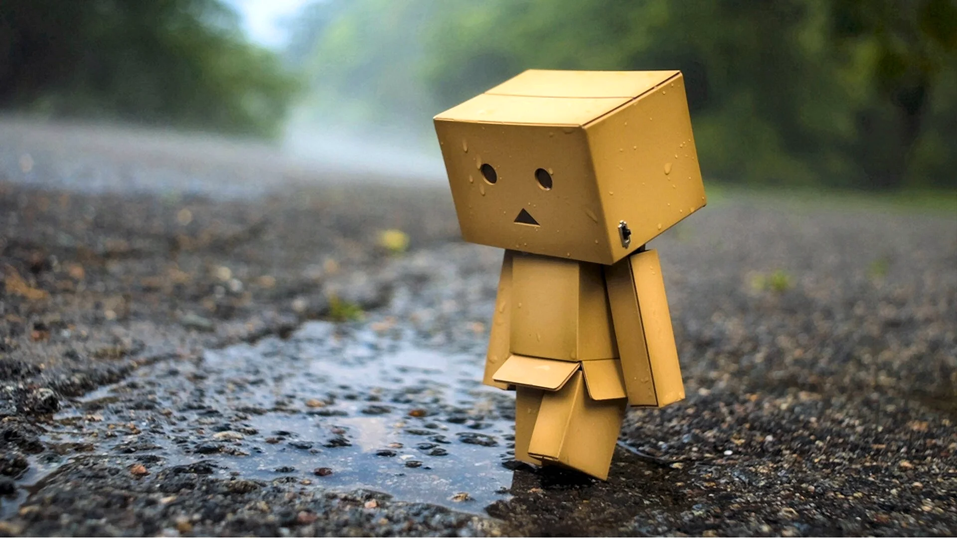 Danbo Wallpaper