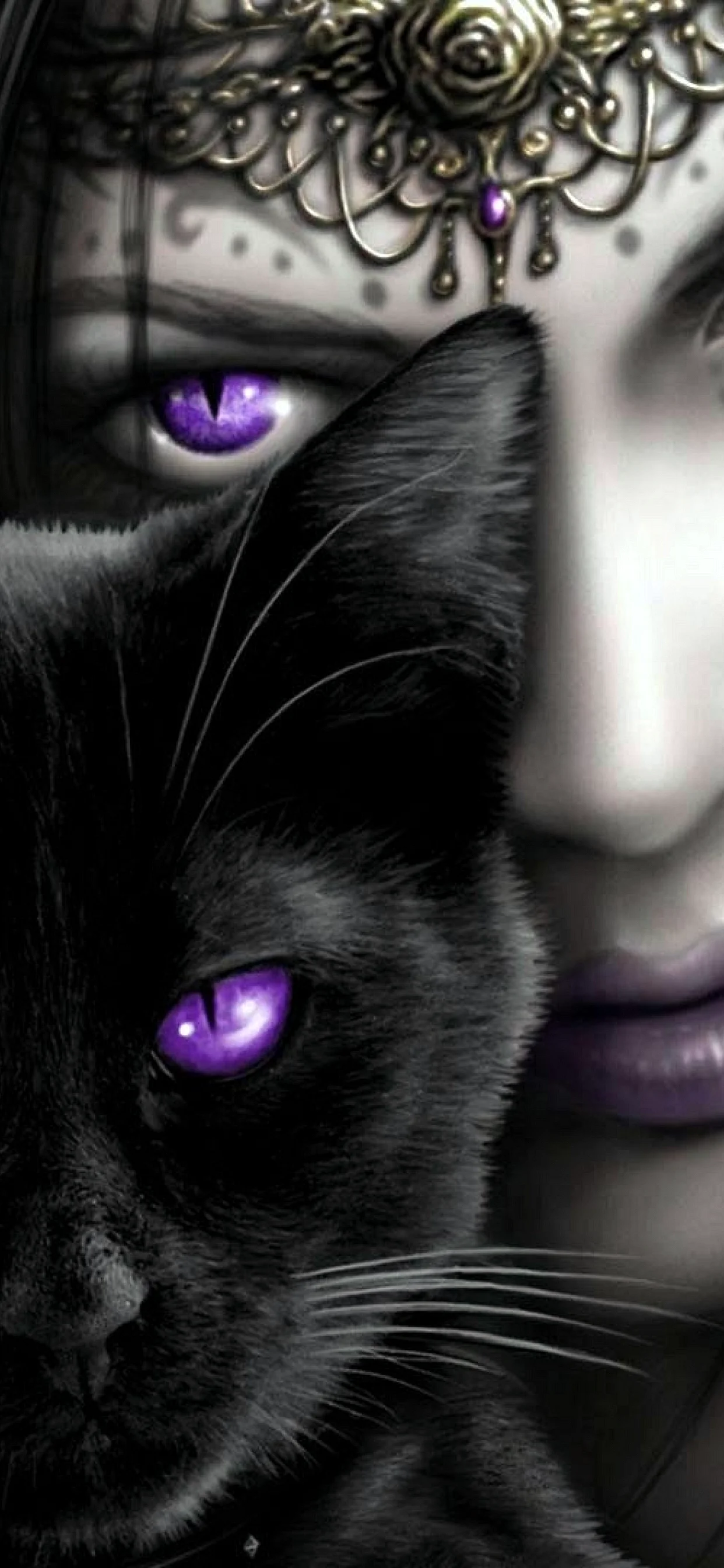 Dark Art Cat Wallpaper for iPhone 11 Pro Max