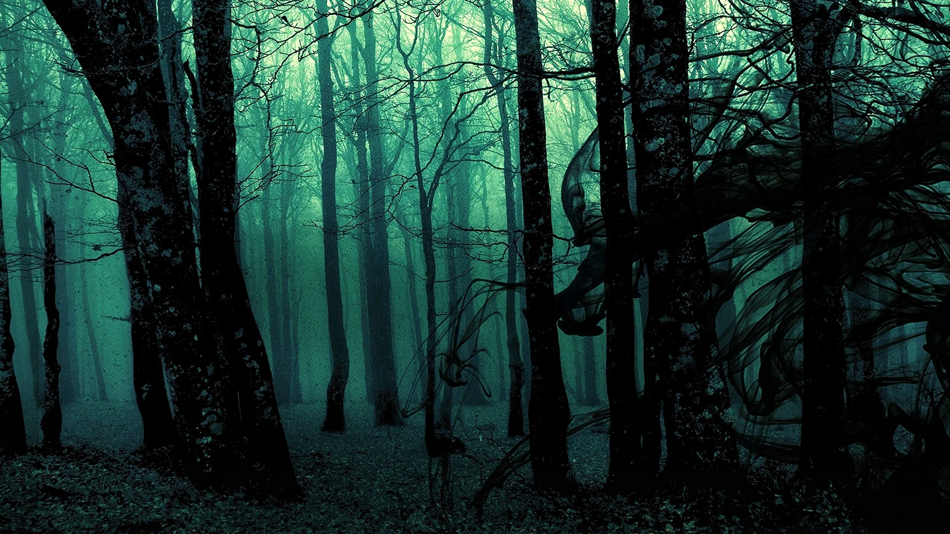 Dark Forest Wallpaper