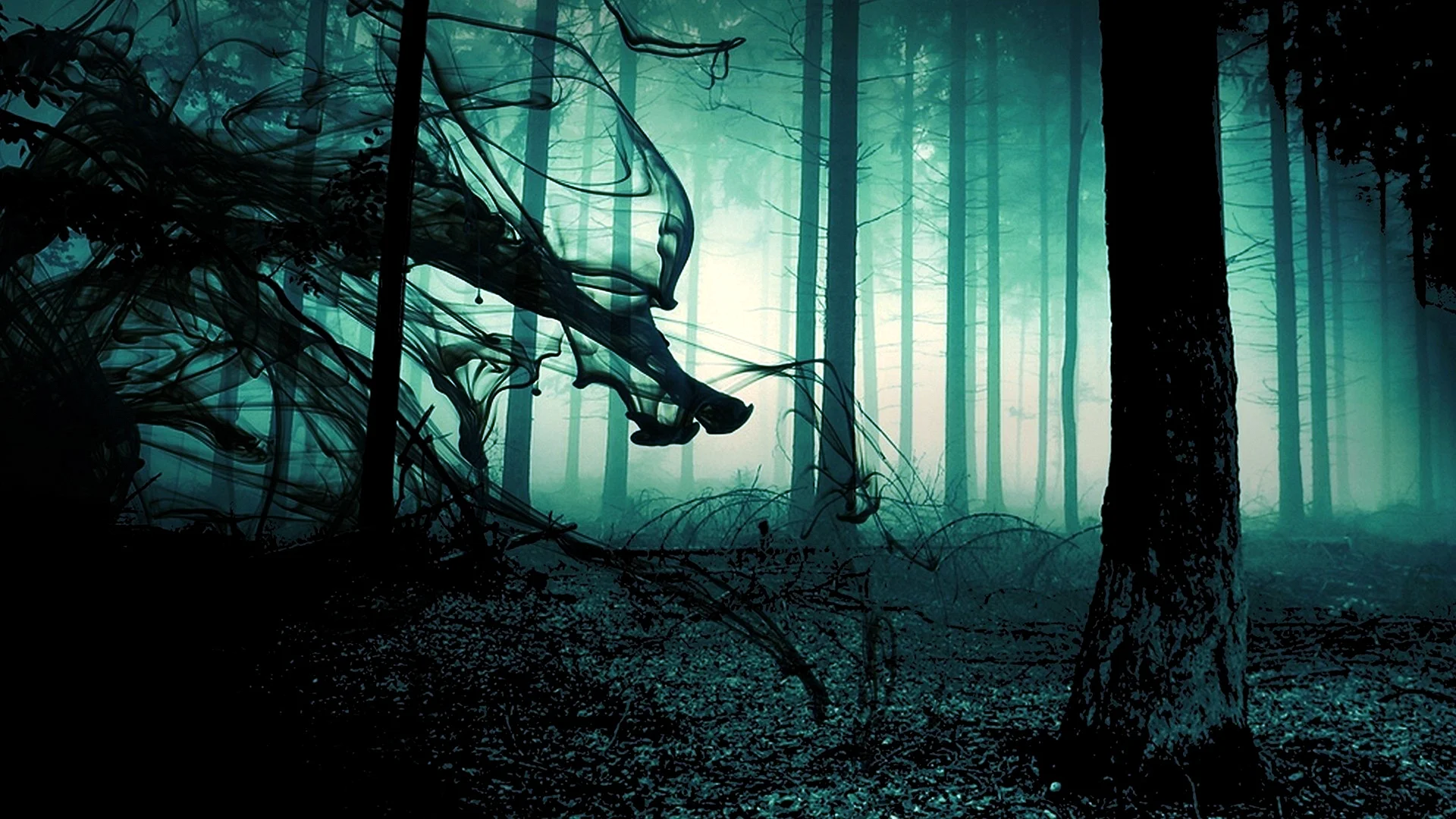 Dark Forest HD Wallpaper