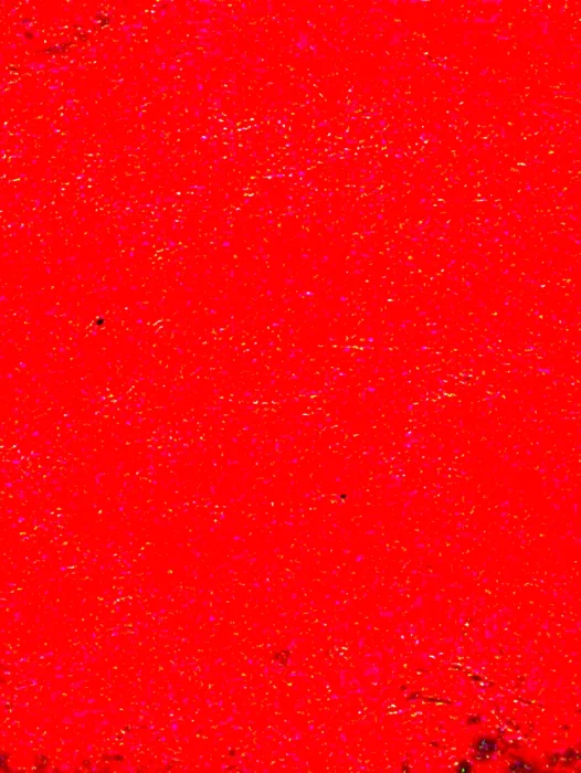 Dark Red Wallpaper