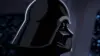 Darth Vader Grouper Pepe Wallpaper