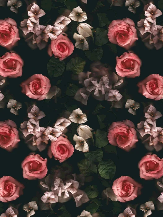 Dead Roses Overlay Wallpaper