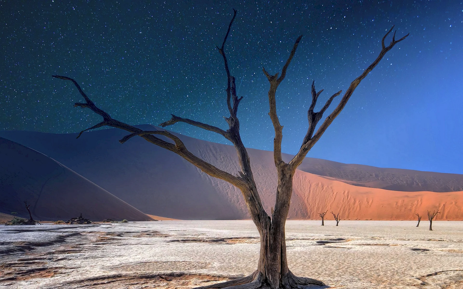 Deadvlei Namibia Wallpaper