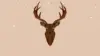 Deer Xmas Wallpaper