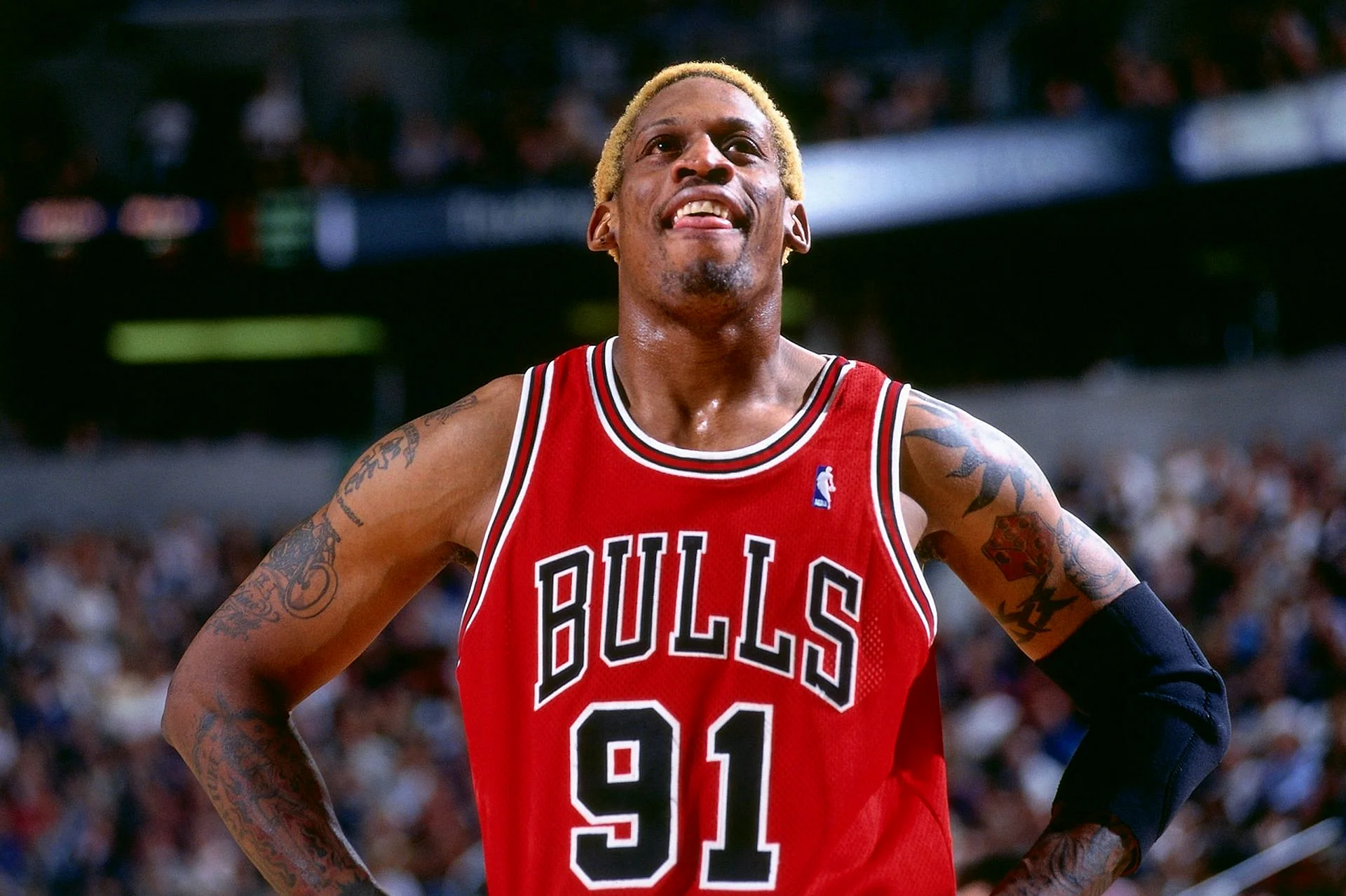 Dennis Rodman 91 Wallpaper