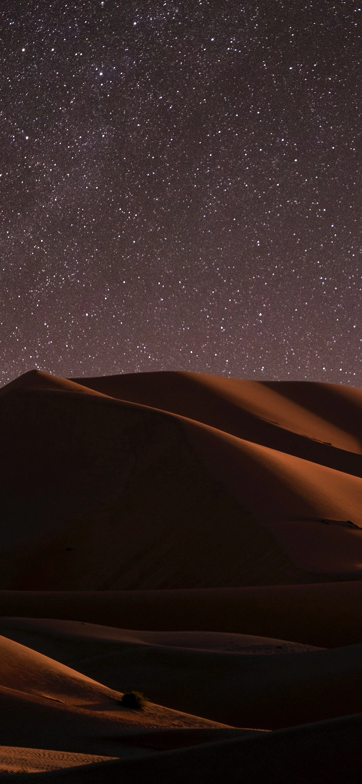 Desert Night Wallpaper for iPhone 11 Pro Max
