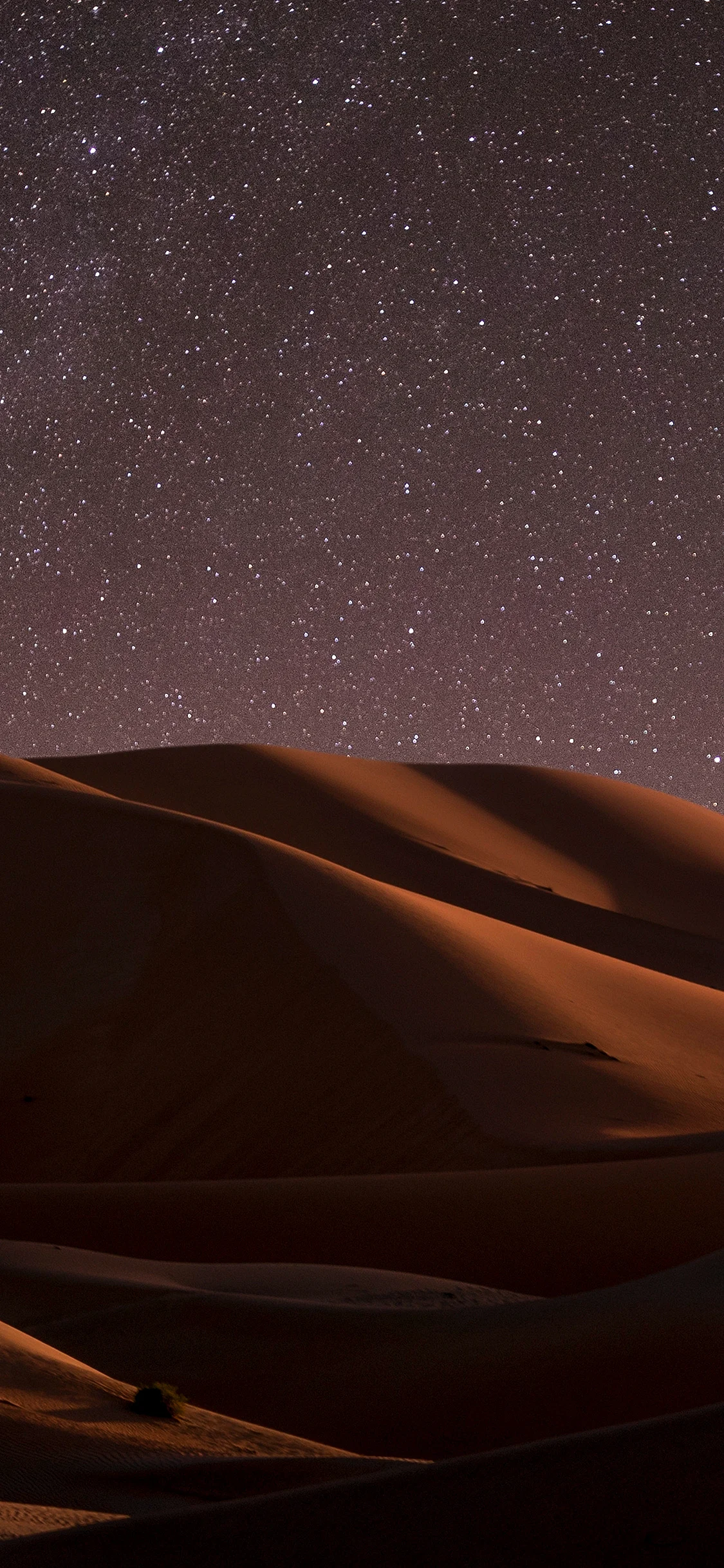 Desert Night Wallpaper for iPhone 11 Pro