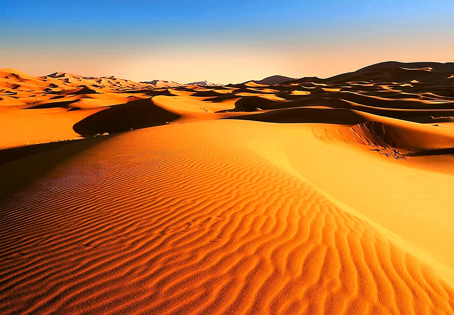 Desert Wall Mural Wallpapers - Free Desert Wall Mural Backgrounds