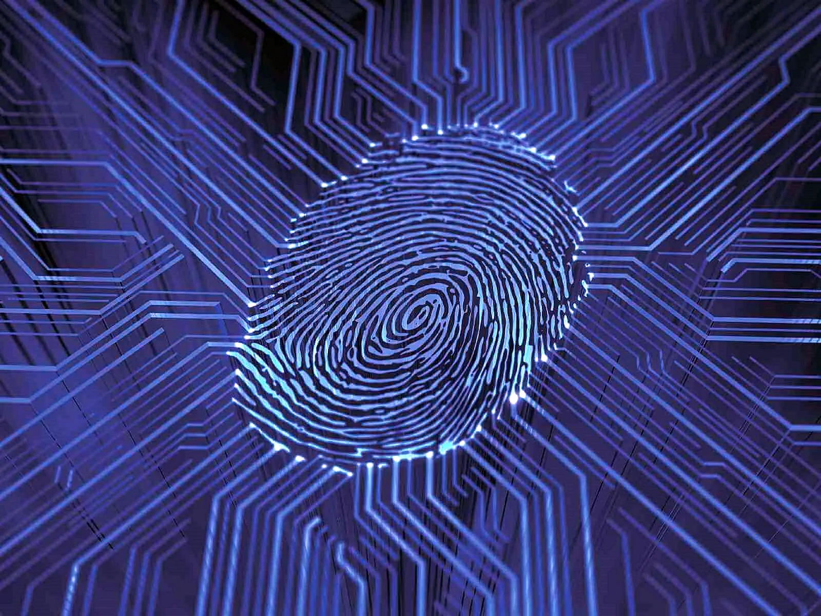 Digital Fingerprint Wallpaper