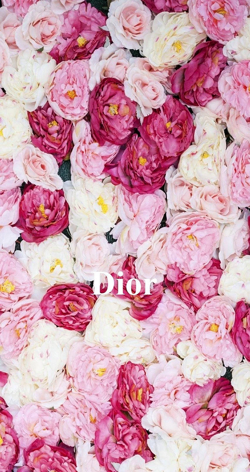 Dior iPhone Wallpaper For iPhone
