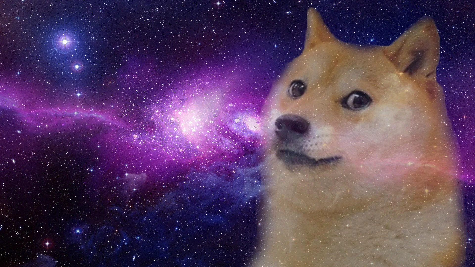 Doge Wallpaper