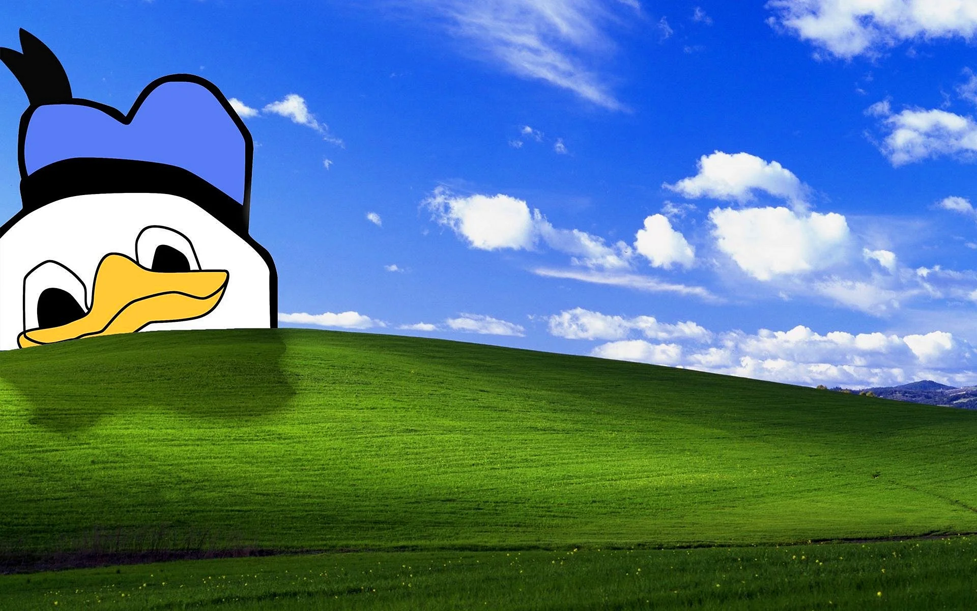Dolan Duck Wallpaper