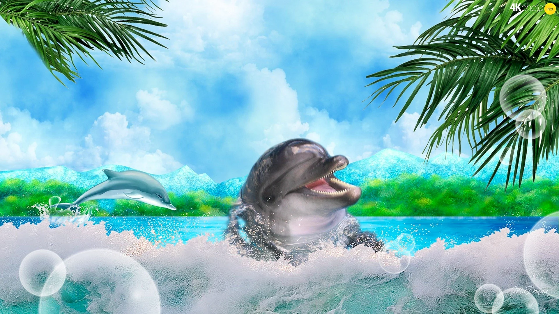 Dolphin Animation Wallpaper