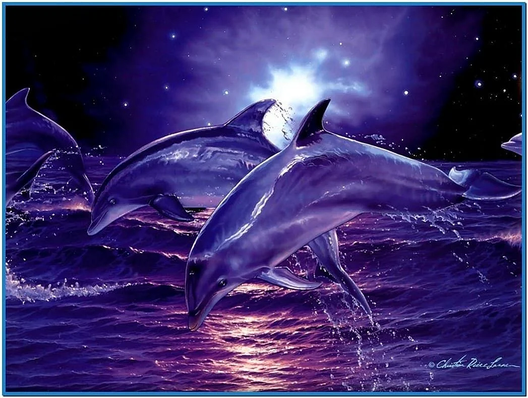 Dolphin Art Wallpaper