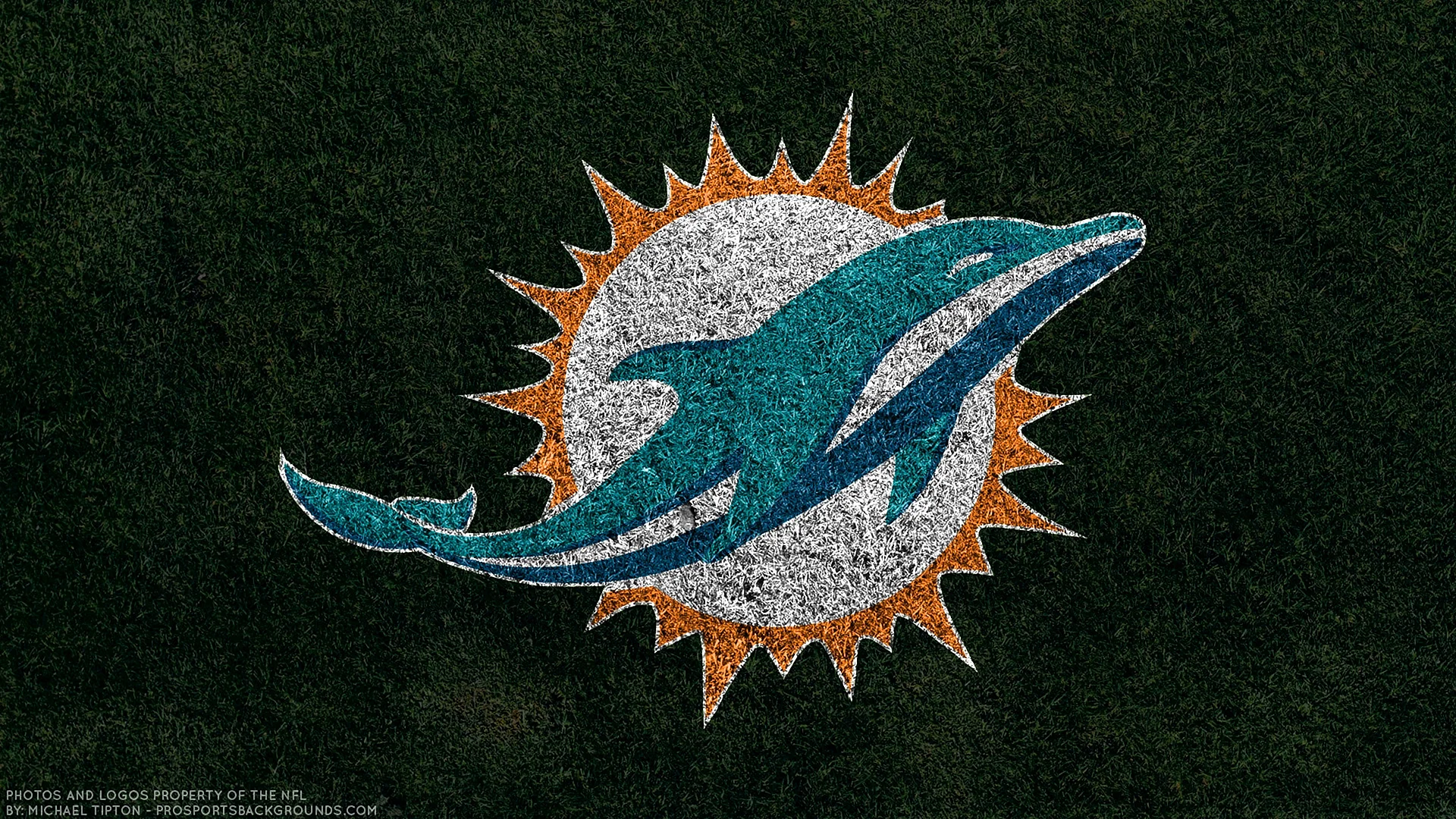 Dolphin Miami Nfl Wallpaper