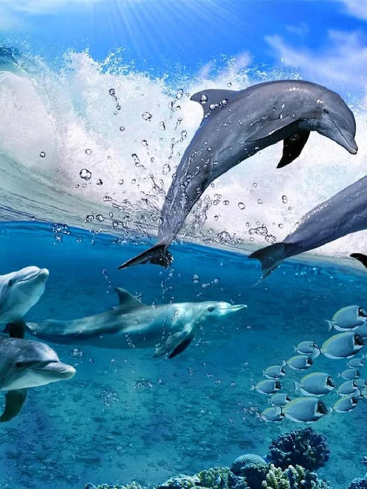 Dolphin Underwater Wallpaper