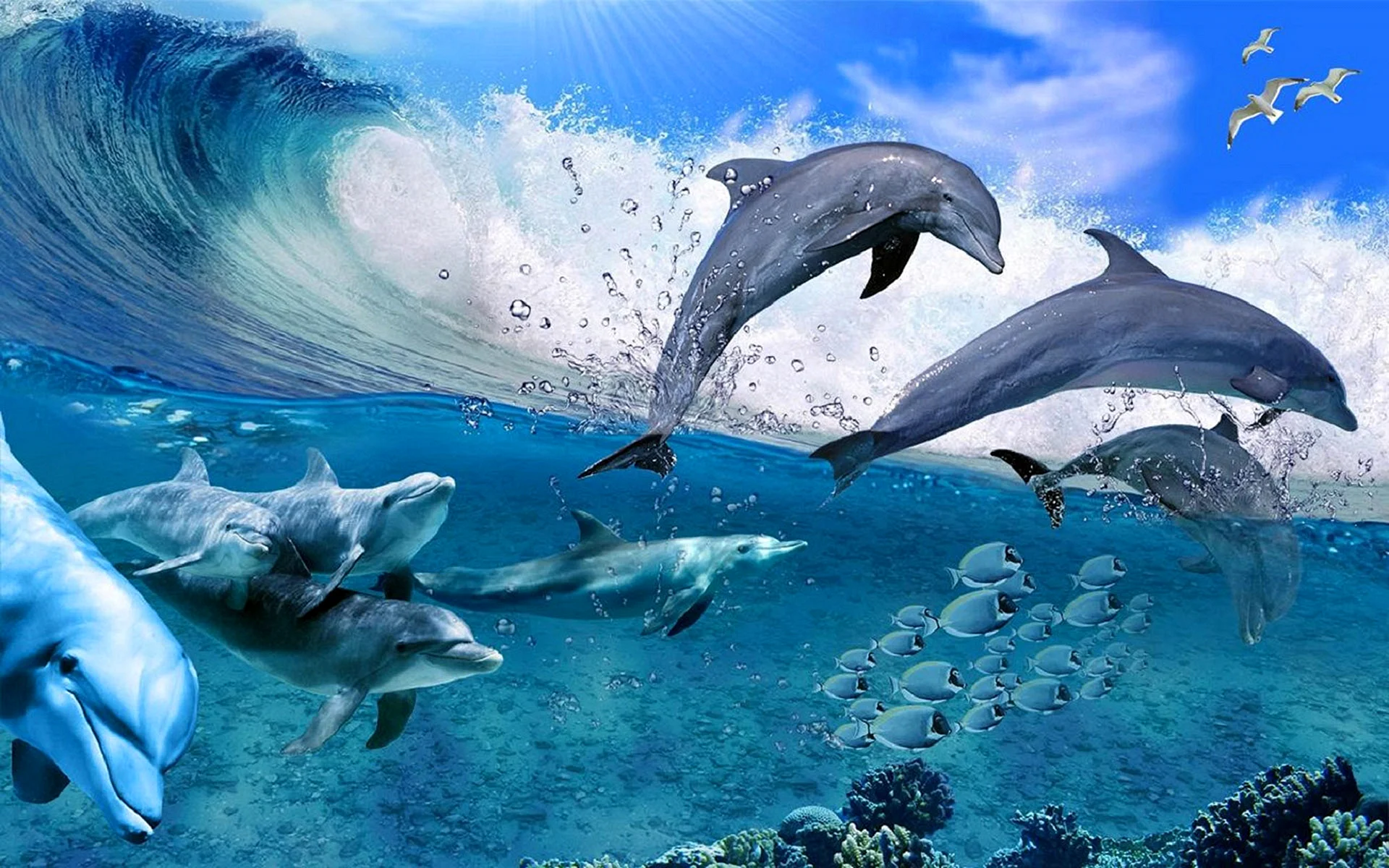 dolphin-underwater-4.webp