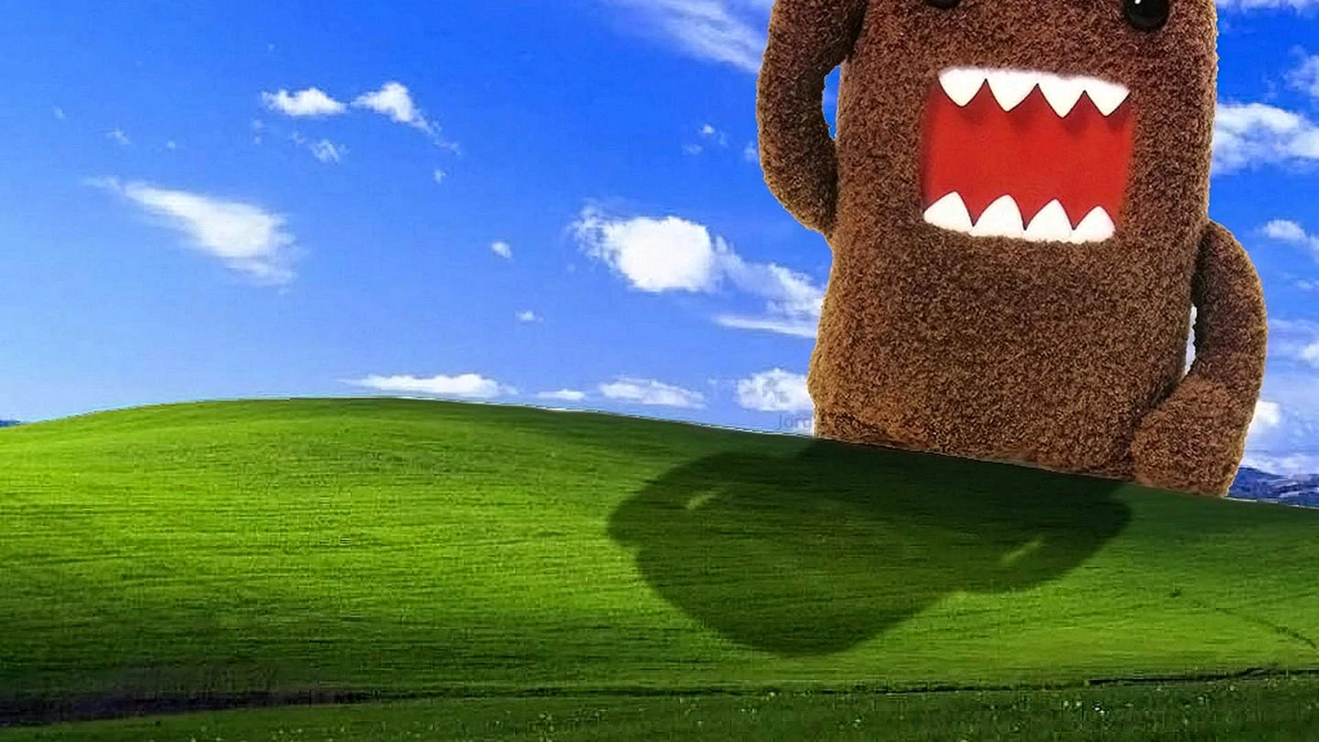 Domo Wallpaper