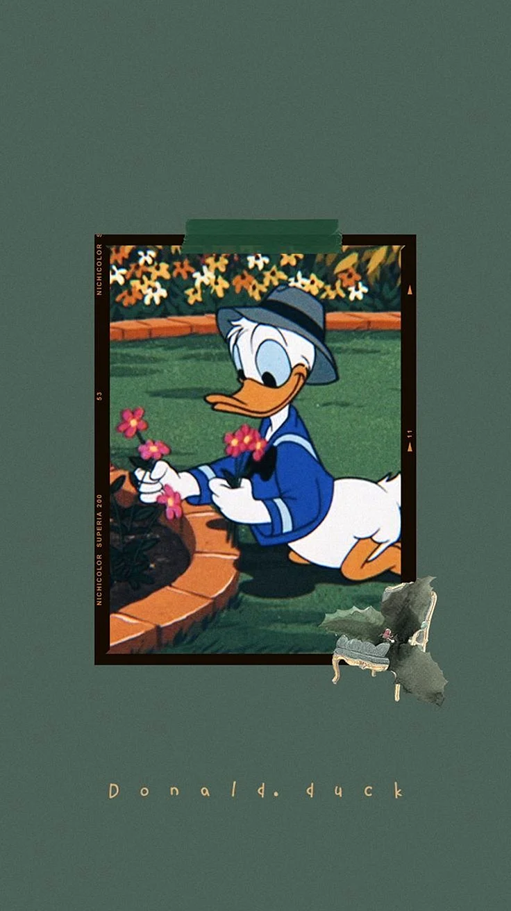 Donald Duck Aesthetic Wallpaper For iPhone