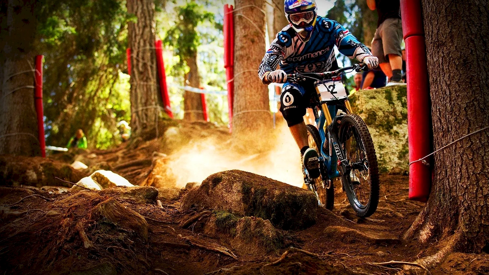 Downhill Mountain biking Wallpaper