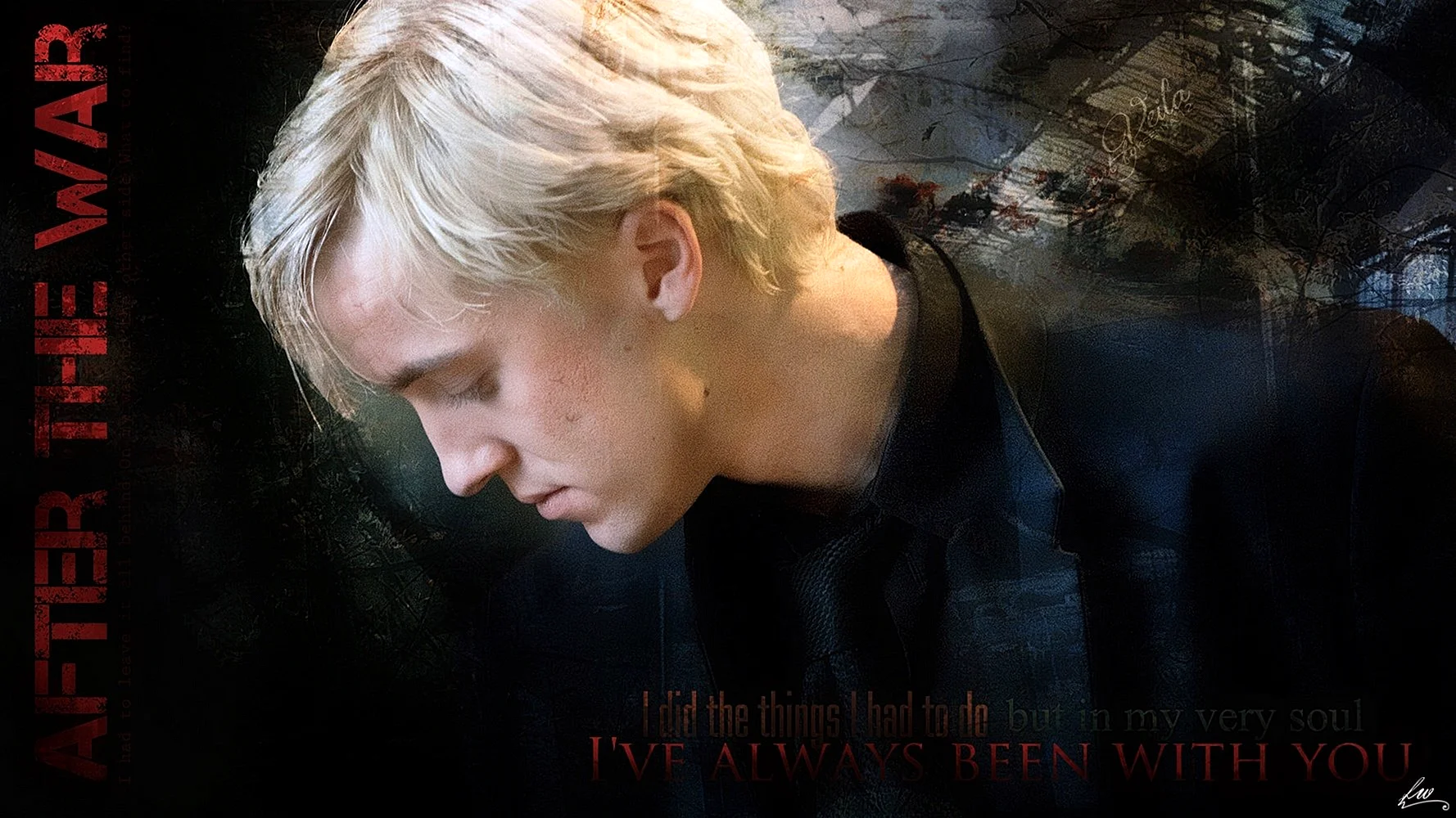 Draco Malfoy Wallpaper