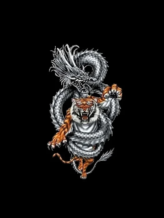 Dragon Vs Tiger Wallpaper