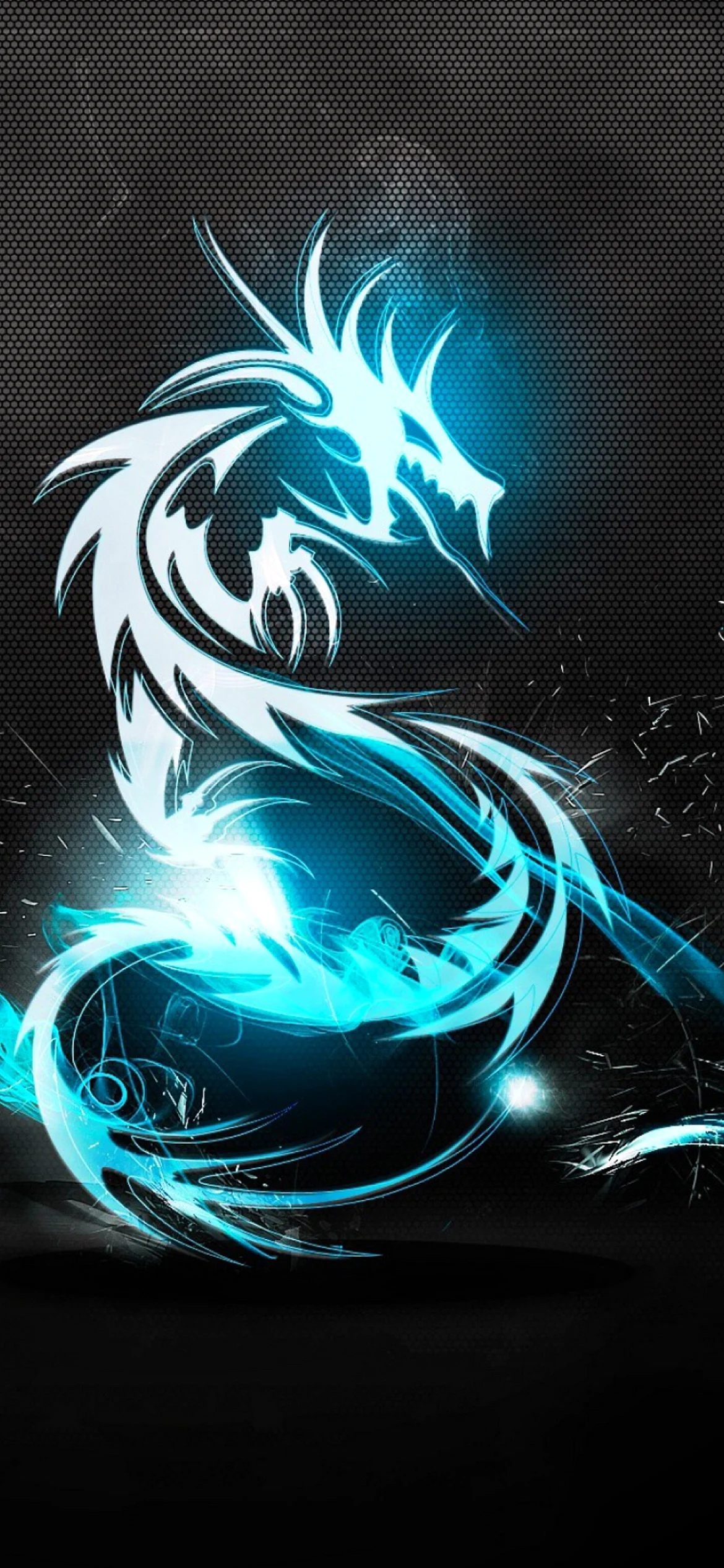 Dragon Wallpaper for iPhone 13 Pro