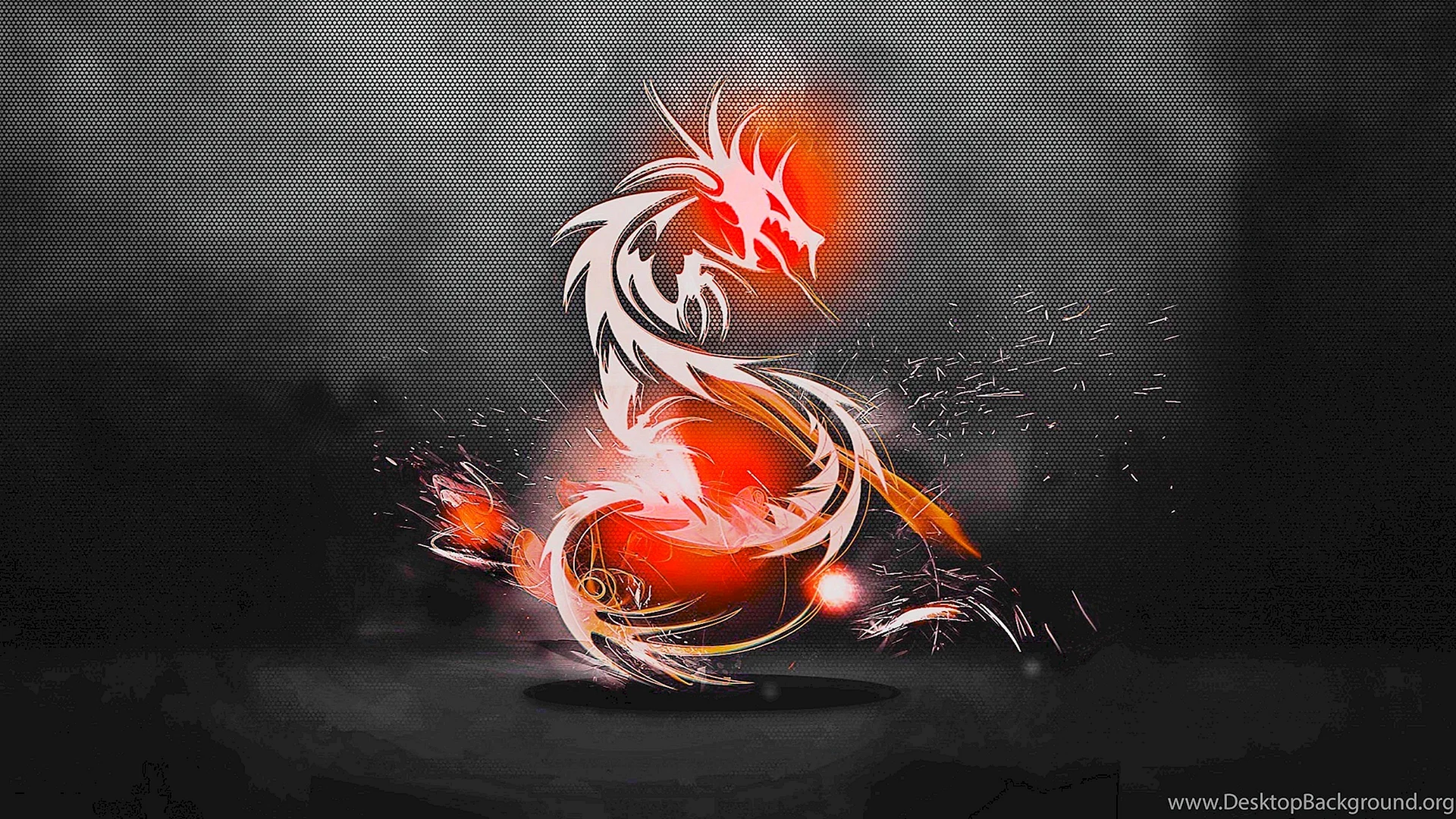 Dragon Wallpaper