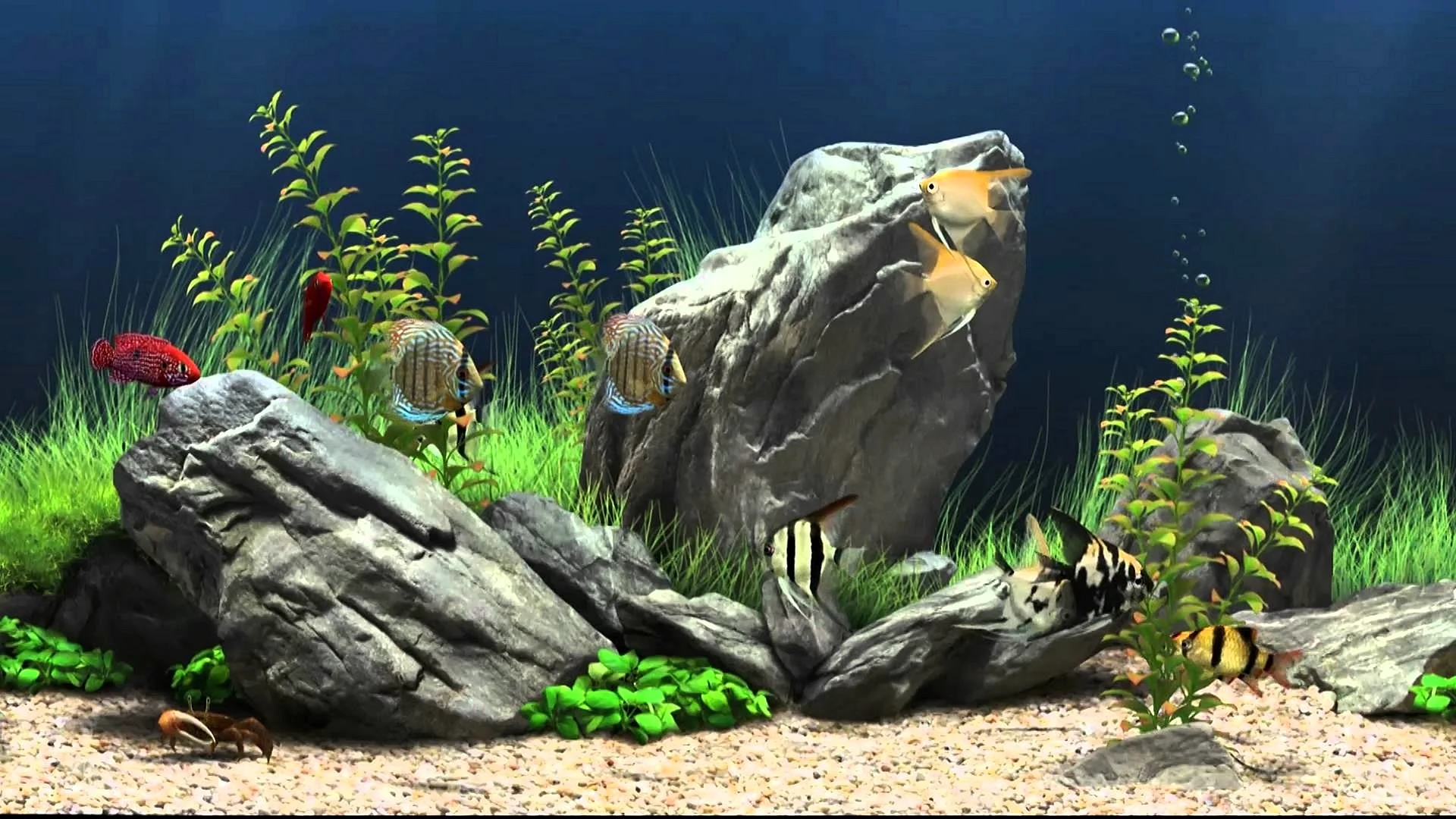 Dream Aquarium Screensaver Wallpaper