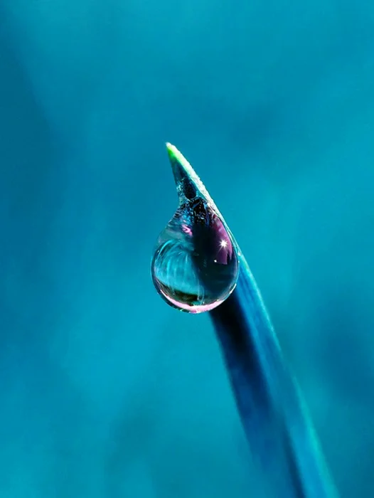 Drip Wallpaper For iPhone