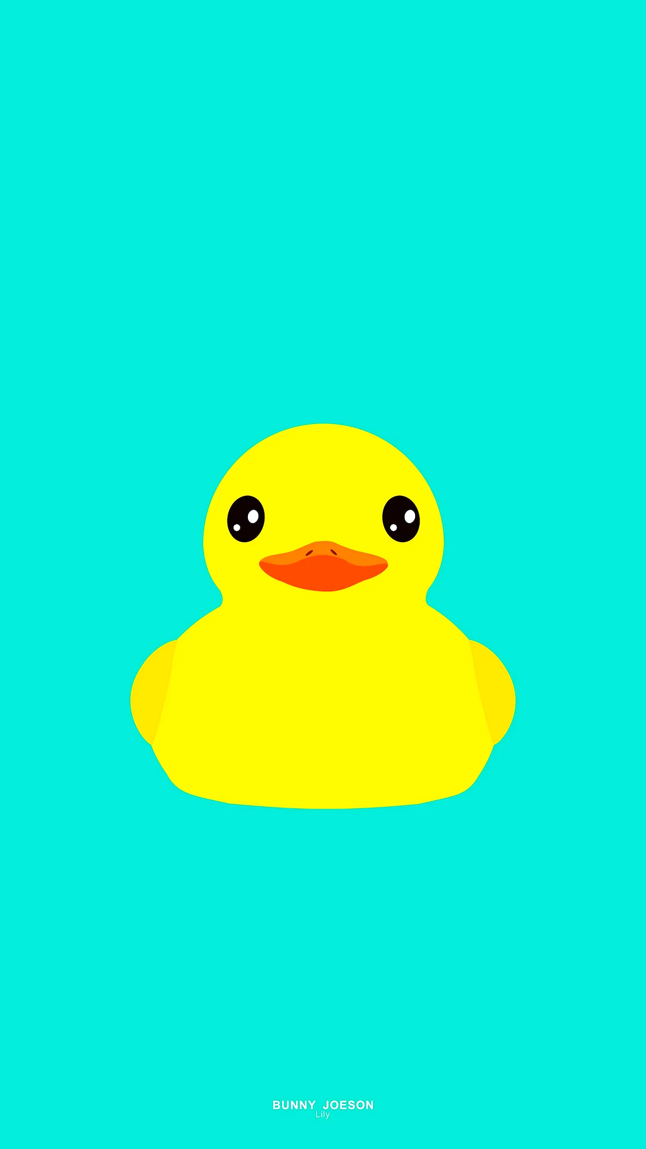 Duck Background Wallpaper For iPhone