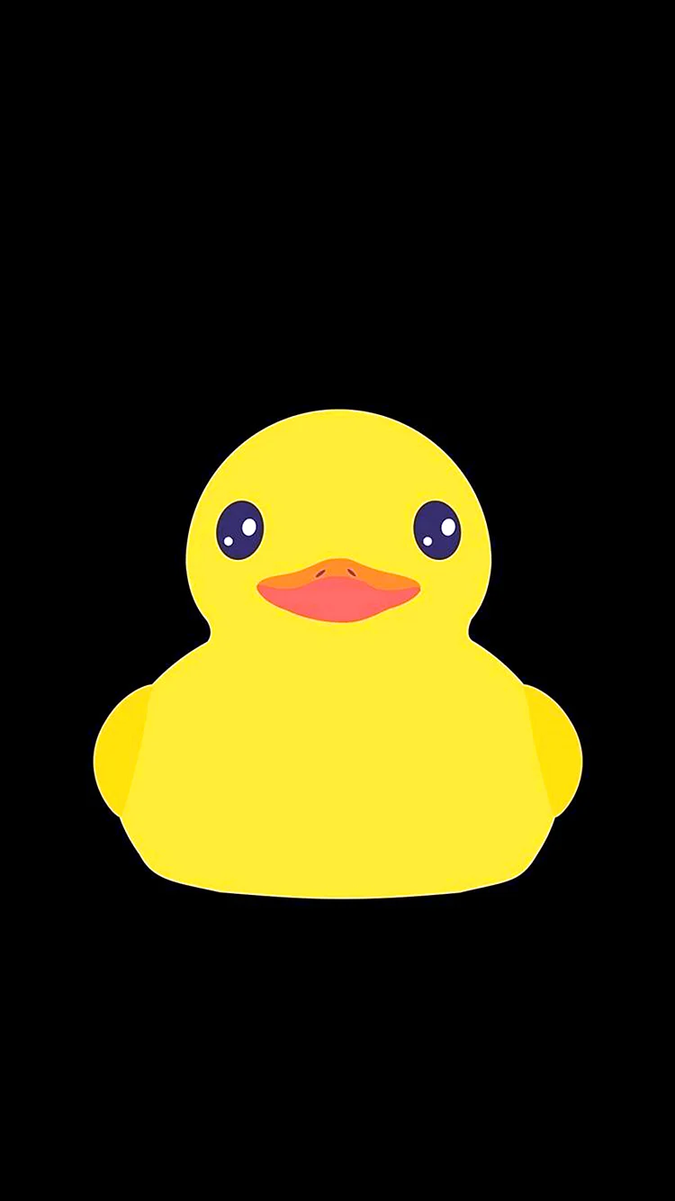 Duck iPhone Wallpaper For iPhone