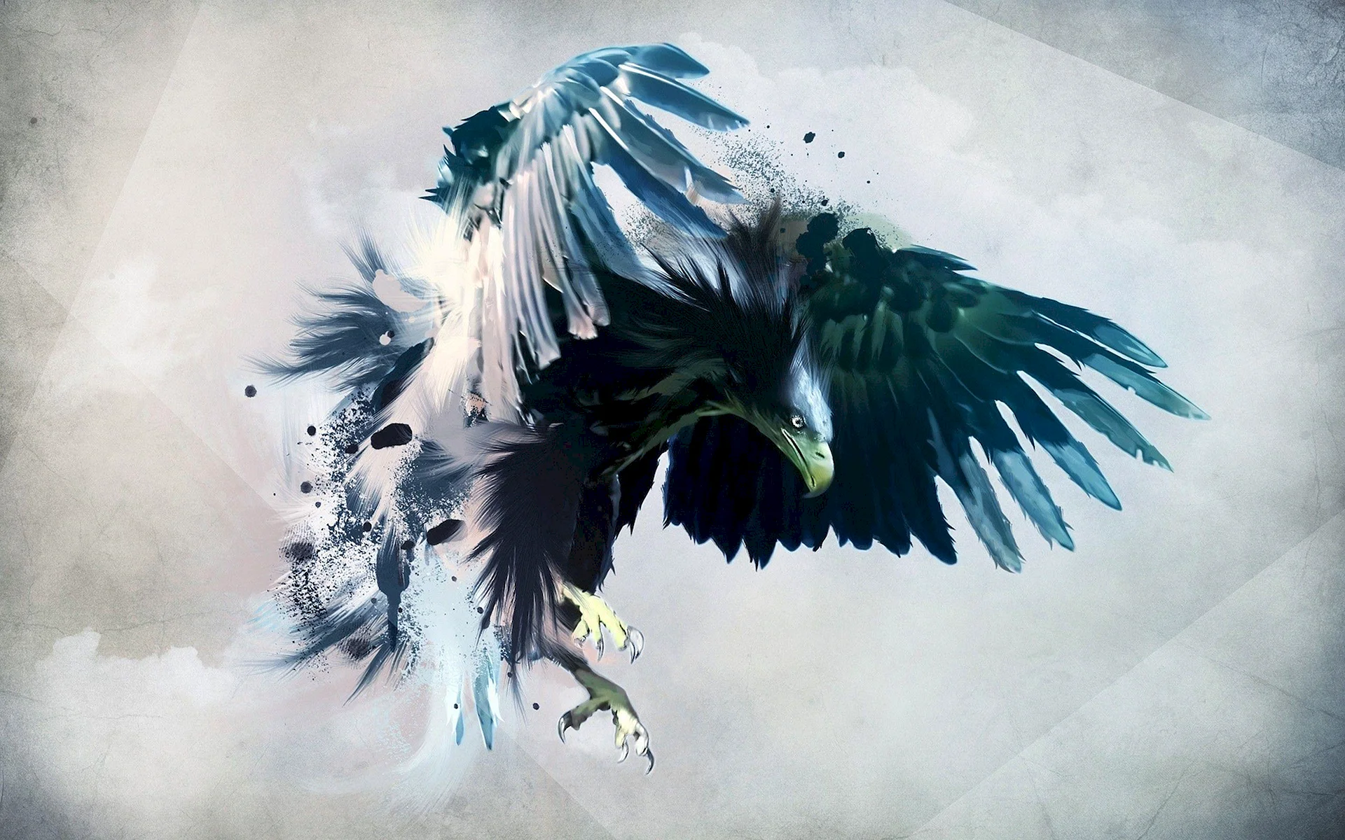 Eagle Wallpaper