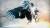 Eagle Spread Wings Art Wallpaper