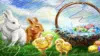 Easter Painting Wallpaper