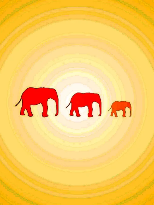 Elephant Minimal Wallpaper