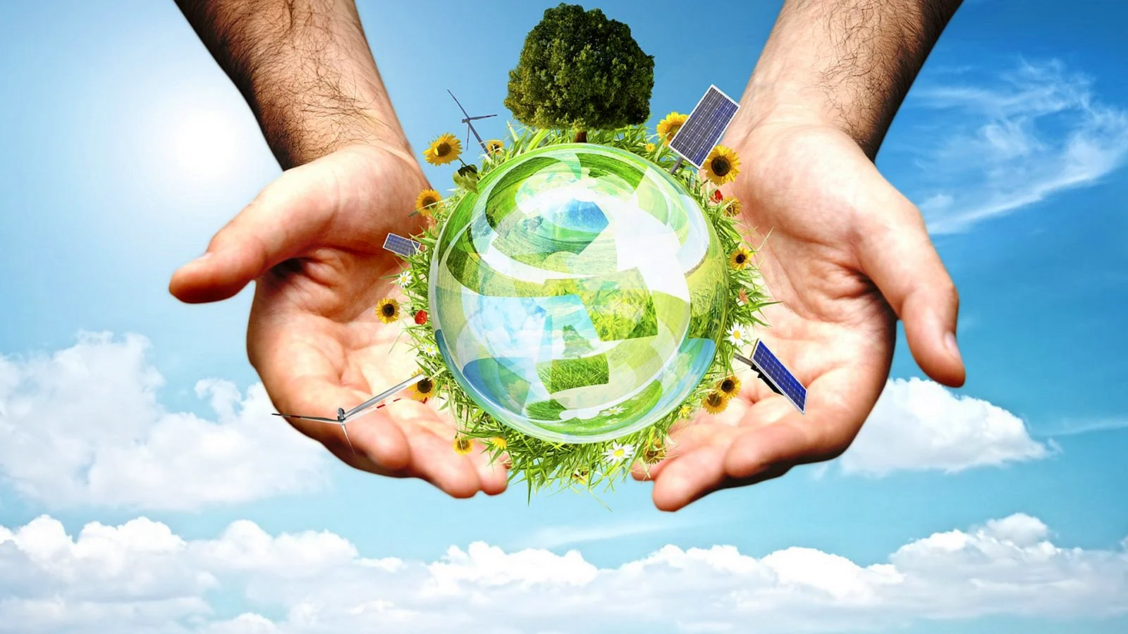 Environmental Sustainability Wallpaper