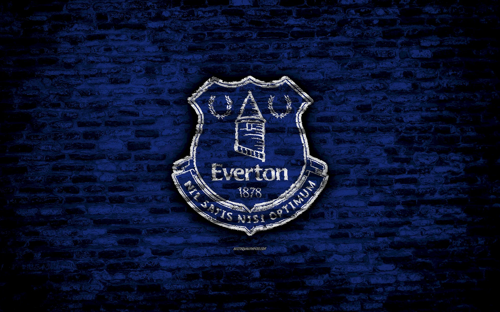 Everton Escudo Wallpaper