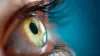 Eye Retina Wallpaper