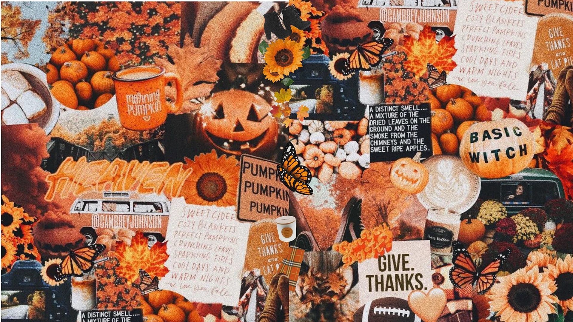 Fall Aesthetic Collage Wallpaper