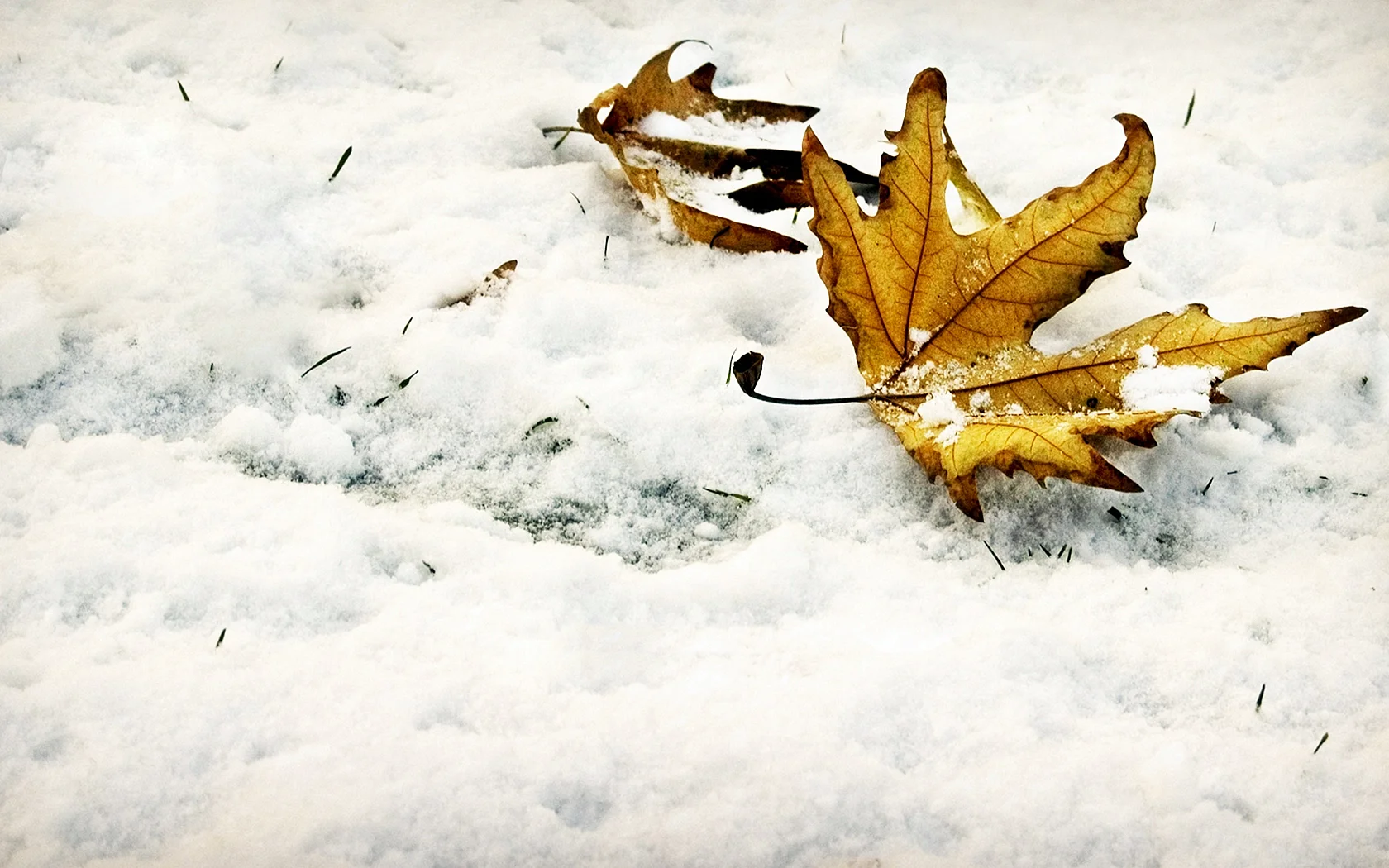 Fall And Winter Wallpaper
