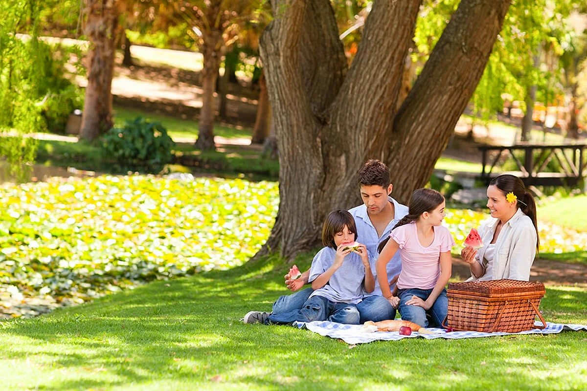 Family Outdoor Picnic Wallpaper