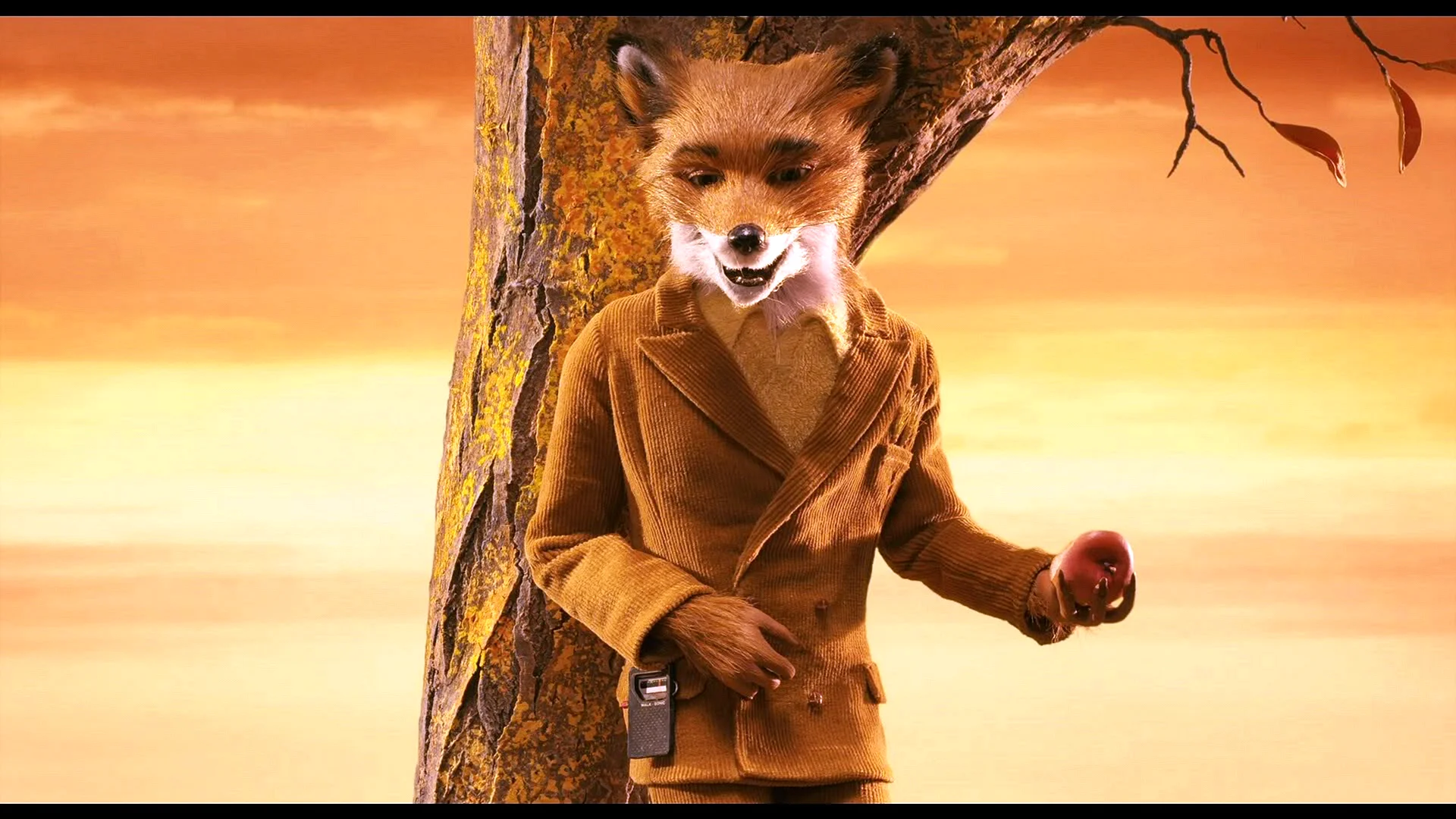 Mister fox