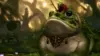 Fantasy Frog Wallpaper