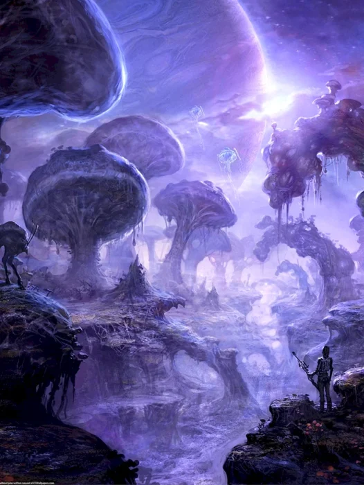 Fantasy Mushroom Forest Wallpaper